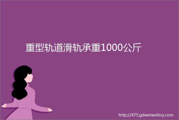 重型轨道滑轨承重1000公斤